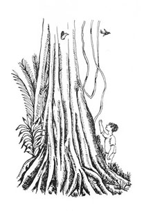 Javier Tafur González